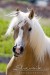 kůň majitelka: Mišulka jm. koně Sára
